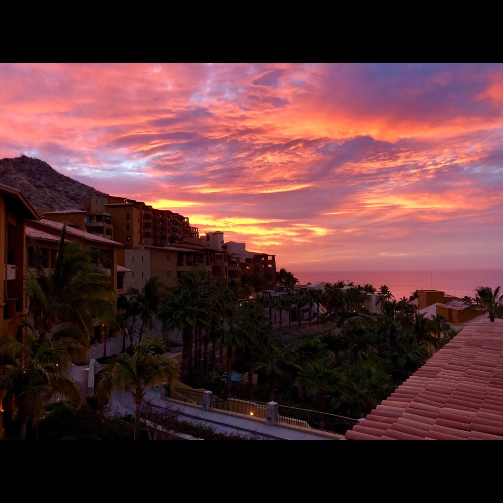 Meet your Posher, Elisabeth